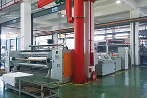 Double-layer Co-extruded Breathable Film Making Machine